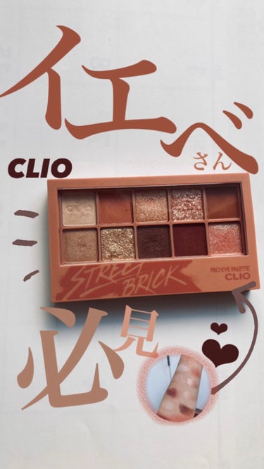 プロ アイ パレット 04 STREET BRICK/CLIO/アイシャドウパレットを使ったクチコミ（1枚目）