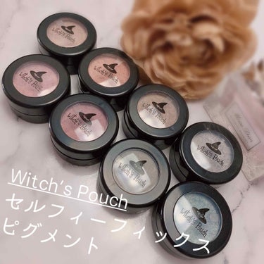 セルフィーフィックスピグメント 07 ミスアース/Witch's Pouch/パウダーアイシャドウを使ったクチコミ（1枚目）