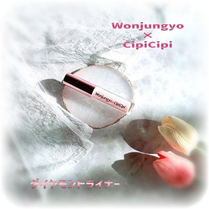 ウォンジョンヨ ダイヤモンドライナー/Wonjungyo/リキッドアイシャドウを使ったクチコミ(1枚目)