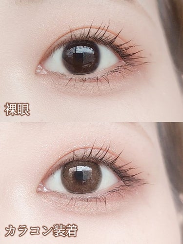 Sisse Lens JeJe Bronze Pearlのクチコミ「SISSE LENS
JeJe Bronze Pearl
 
使用期限 1month
DIA .....」（2枚目）