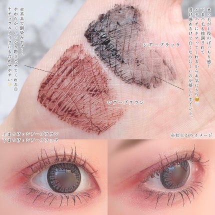 ブロウラッシュEX 美束カールロックマスカラ シア―ブラウン/ブロウラッシュ/マスカラの画像