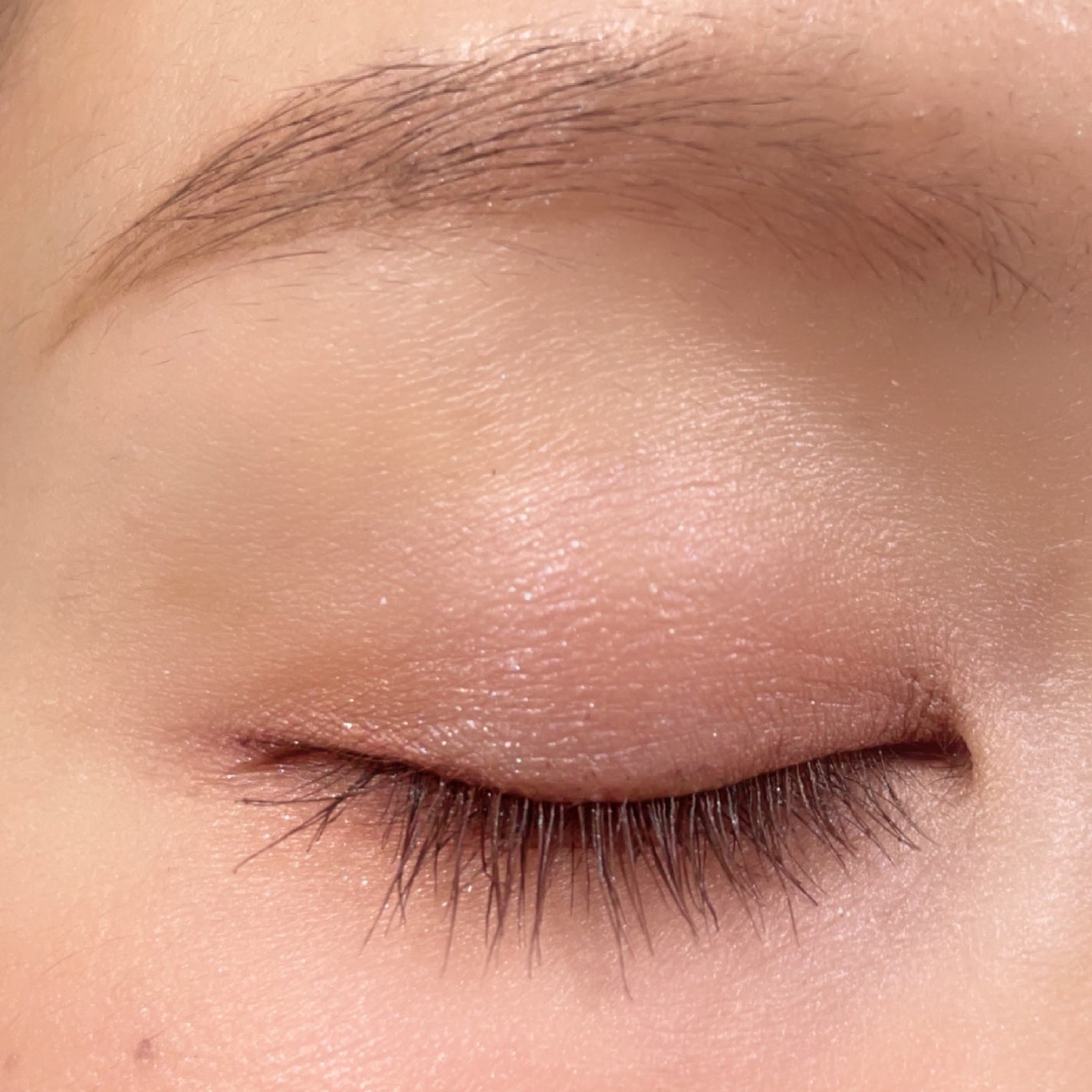 スタイリングアイゾーンコンパクト/LUNASOL/アイシャドウパレットを使ったクチコミ(2枚目)