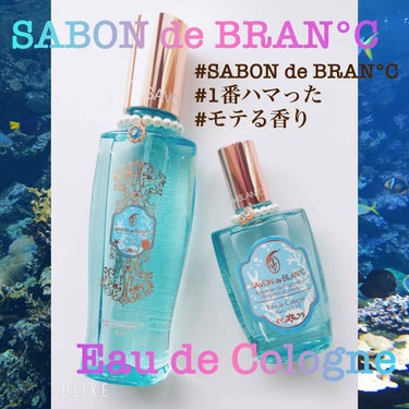 スカッシュボディミスト/SAVON de BLAN°C/香水(レディース)を使ったクチコミ（1枚目）