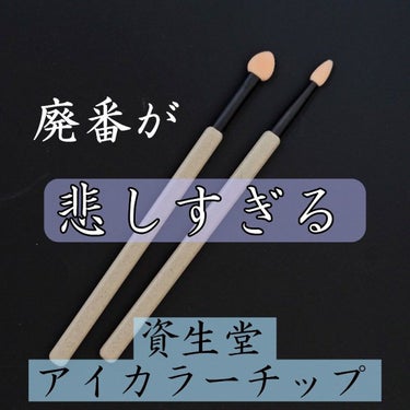 アイカラーチップ・細 201/SHISEIDO/その他化粧小物を使ったクチコミ（1枚目）