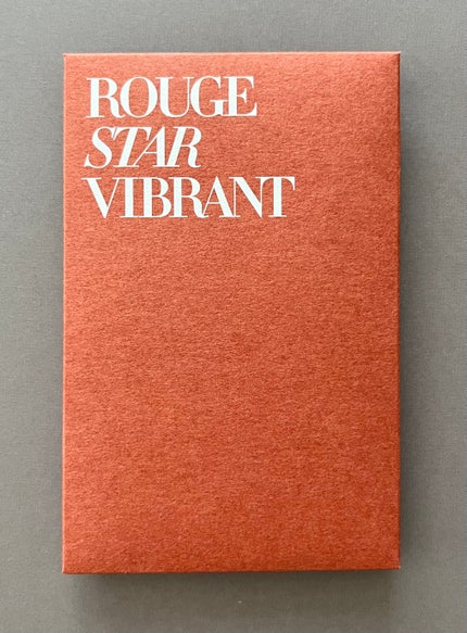 ルージュスターヴァイブラント/KANEBO/口紅を使ったクチコミ(10枚目)