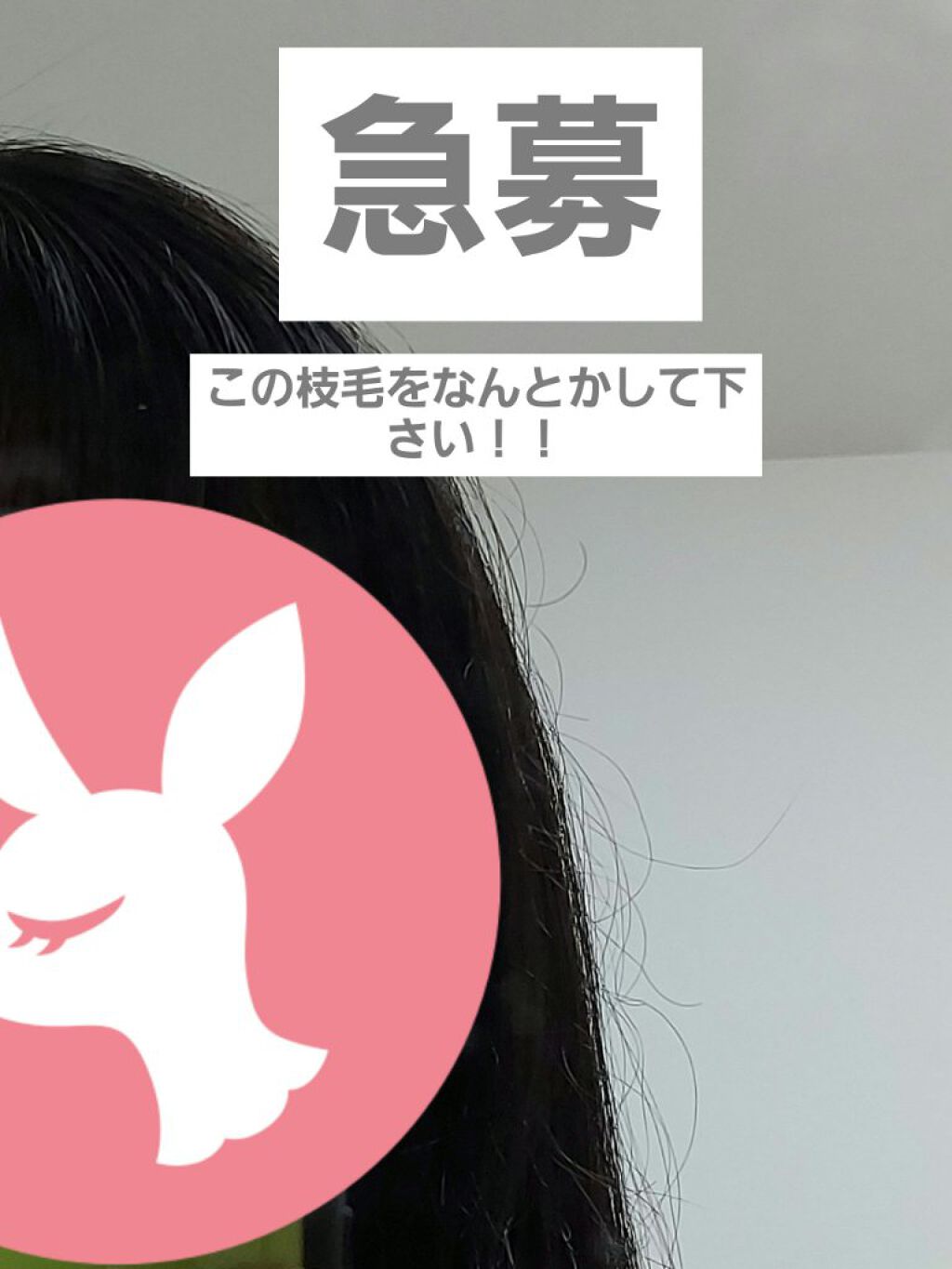 ヘアーオイル【トリートメント】/ellips/ヘアオイルを使ったクチコミ（1枚目）