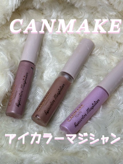 アイカラーマジシャン/キャンメイク/アイシャドウを使ったクチコミ(1枚目)