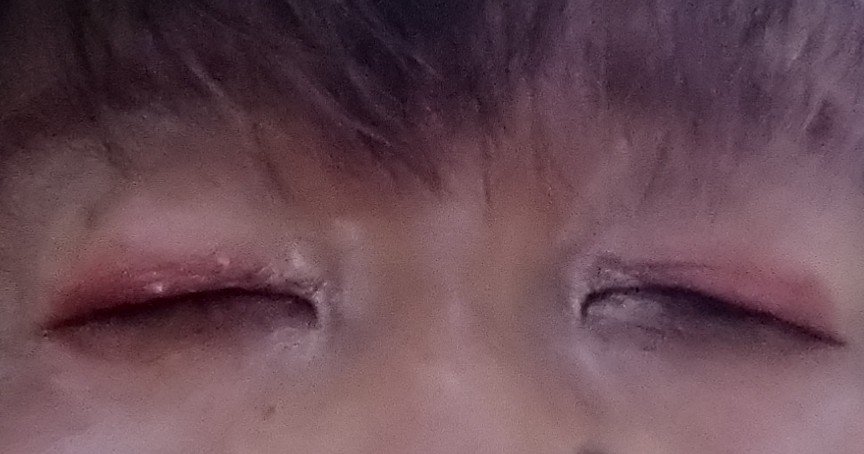 3色マロンアイシャドウパレット/LEEMEMBER/アイシャドウパレットを使ったクチコミ（3枚目）