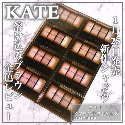ケイト メロウブラウンアイズ/KATE/アイシャドウパレットを使ったクチコミ(1枚目)