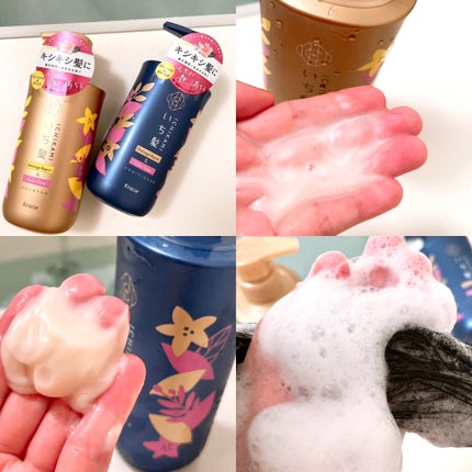 ãã¡ãŒãžãªãã¢ïŒã«ã©ãŒã±ã¢ ã·ã£ã³ããŒ/ã³ã³ãã£ã·ã§ããŒ/ãã¡é«ª/åžè²©ã·ã£ã³ããŒã䜿ã£ãã¯ãã³ãïŒ4æç®ïŒ