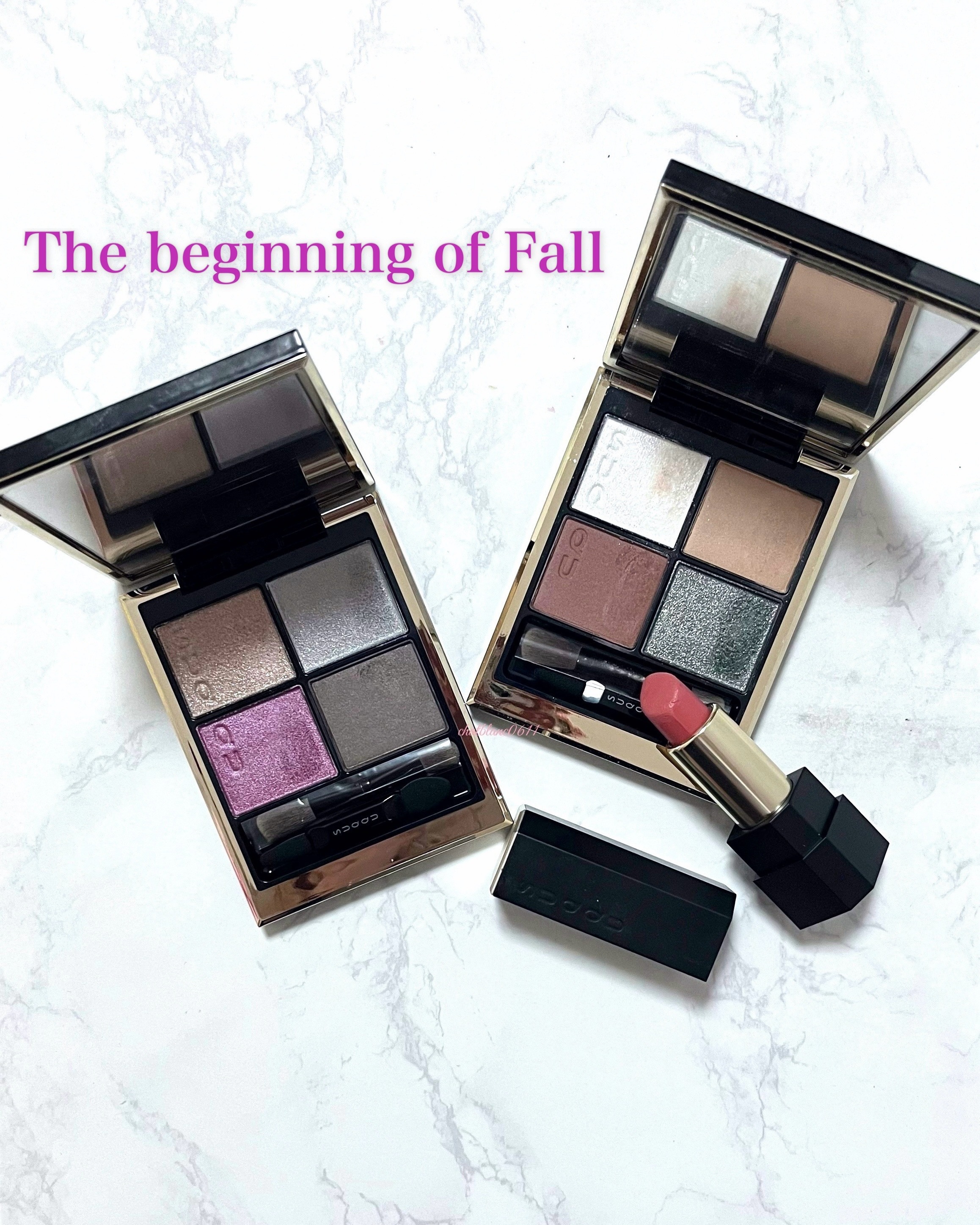 シアー マット リップスティック/SUQQU/口紅を使ったクチコミ（1枚目）