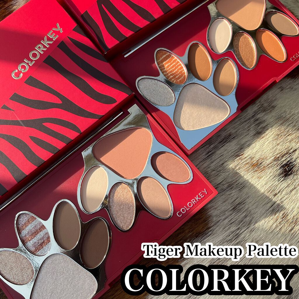 トラ十色アイシャドウパレット/COLORKEY/アイシャドウパレットを使ったクチコミ(1枚目)