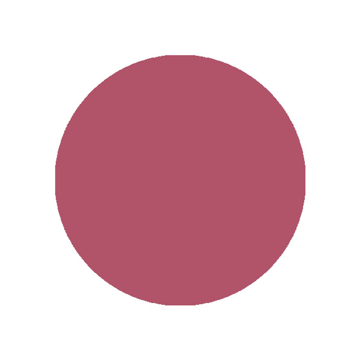 リップスティック N 313 アンティークボックス