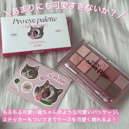 プロ アイ パレット/CLIO/アイシャドウパレットを使ったクチコミ(2枚目)