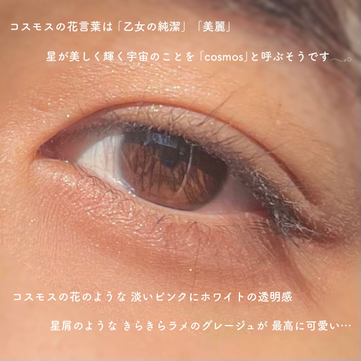 パーフェクトマルチアイズ/キャンメイク/アイシャドウパレットを使ったクチコミ（2枚目）