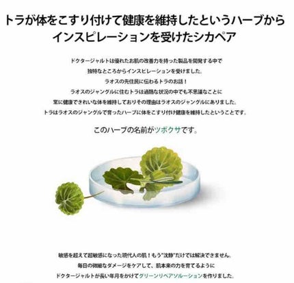 ドクタージャルト シカペア リカバー (第2世代)/Dr.Jart+/フェイスクリームを使ったクチコミ(3枚目)