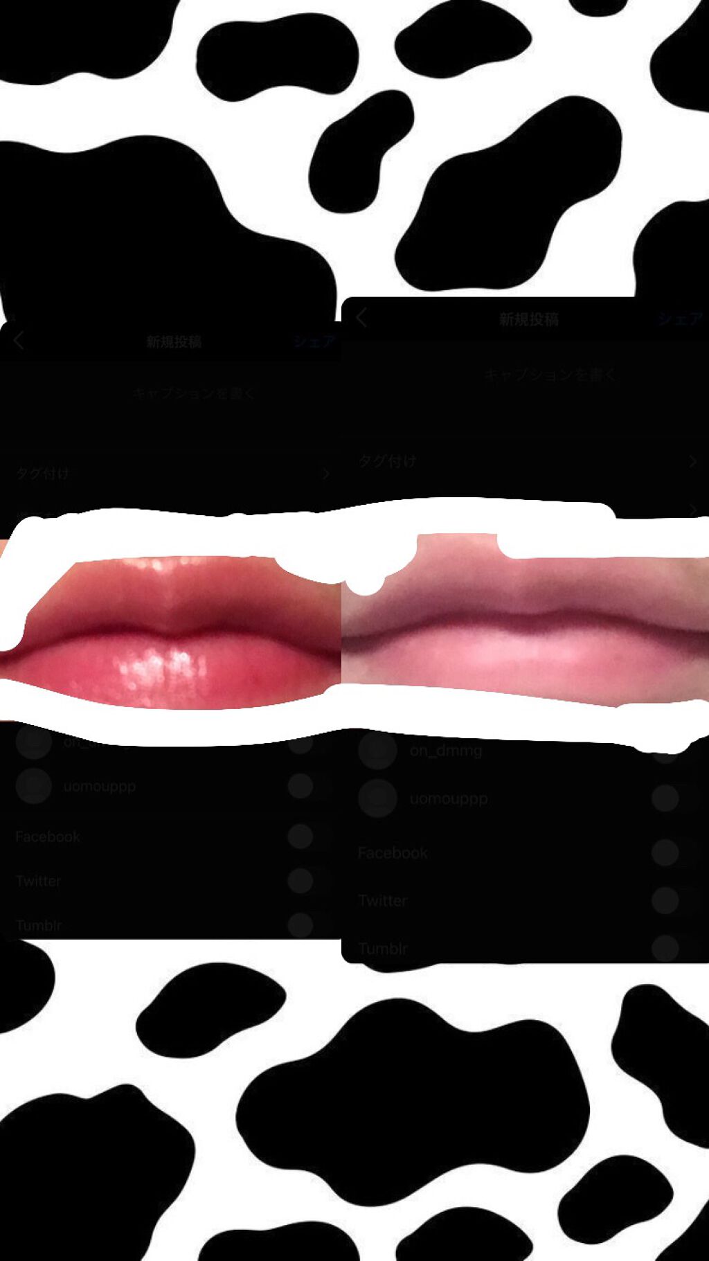 モイストピュアカラーリップ/ニベア/リップクリームを使ったクチコミ（2枚目）