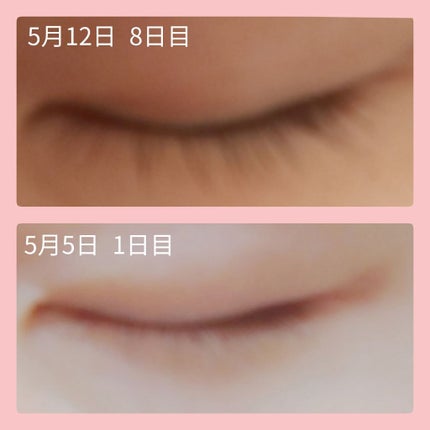 ラッシュジェリードロップ EX/MAJOLICA MAJORCA/まつげ美容液を使ったクチコミ(3枚目)