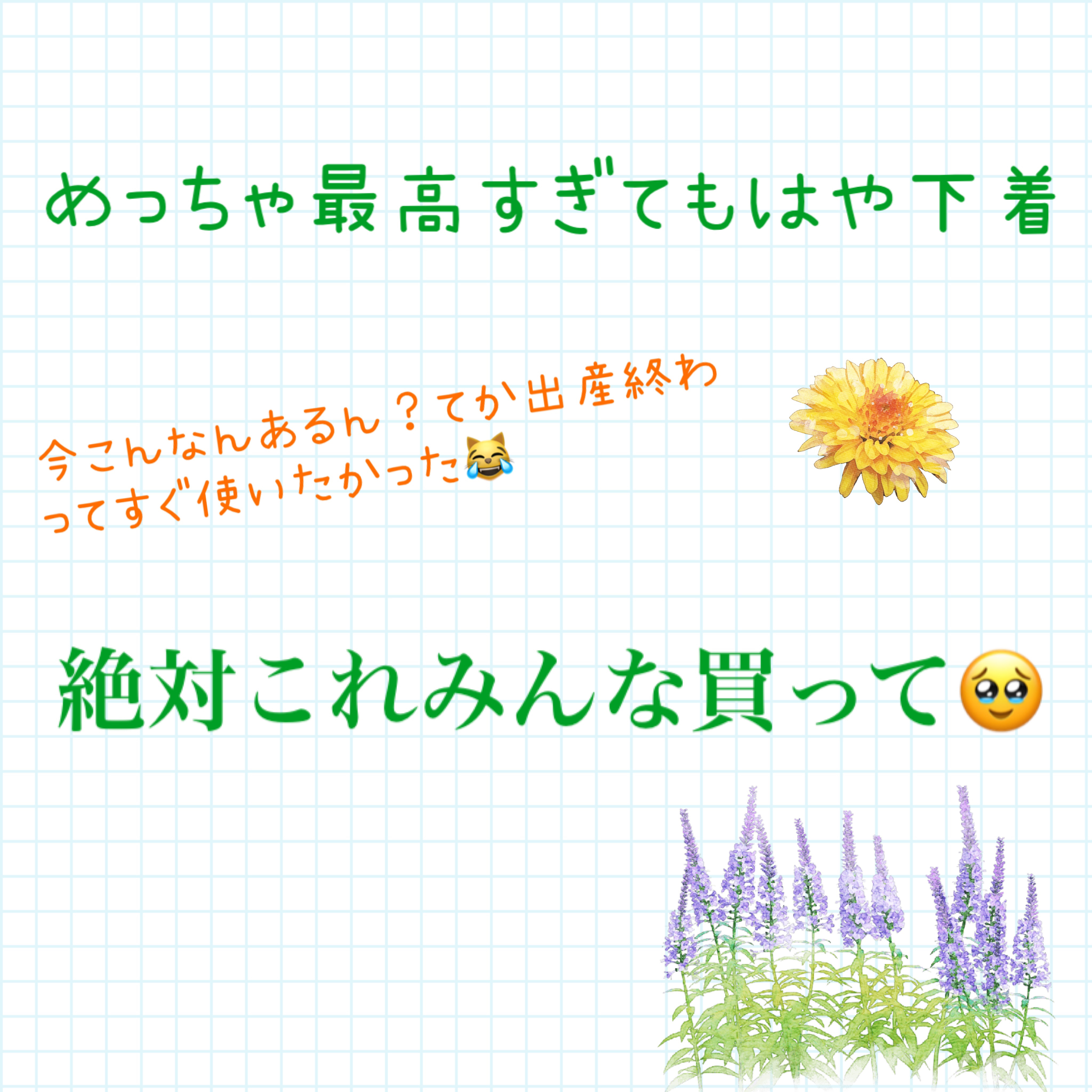 朝までブロック　安心ショーツタイプ（M-L　5コ入）/ロリエ/ナプキンを使ったクチコミ（1枚目）