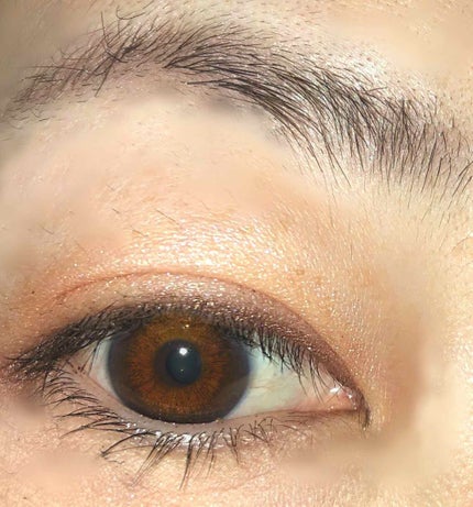 スキニーリッチシャドウ/excel/アイシャドウパレットを使ったクチコミ(1枚目)