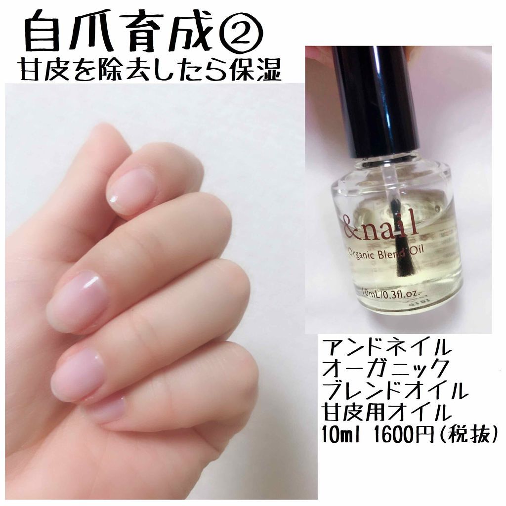 オーガニックブレンドオイル/アンドネイル/ネイルオイル・トリートメントを使ったクチコミ(1枚目)