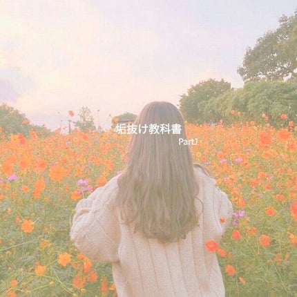 ザ・オリジナル ノーマル/TANGLE TEEZER/ヘアブラシを使ったクチコミ(1枚目)