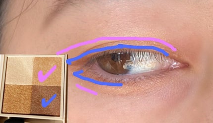 ニュアンス デューイ クリエイター/Visée/アイシャドウパレットを使ったクチコミ(4枚目)