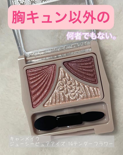 ジューシーピュアアイズ/キャンメイク/アイシャドウパレットを使ったクチコミ(1枚目)