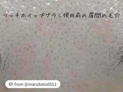 リッチホイップブラシSHINKA(シンカ)/SHOBIDO/その他スキンケアグッズを使ったクチコミ(6枚目)