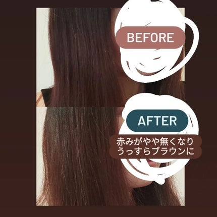 クレムドアン ブラウンクリームシャンプー/creme de Ann/市販シャンプーを使ったクチコミ(5枚目)