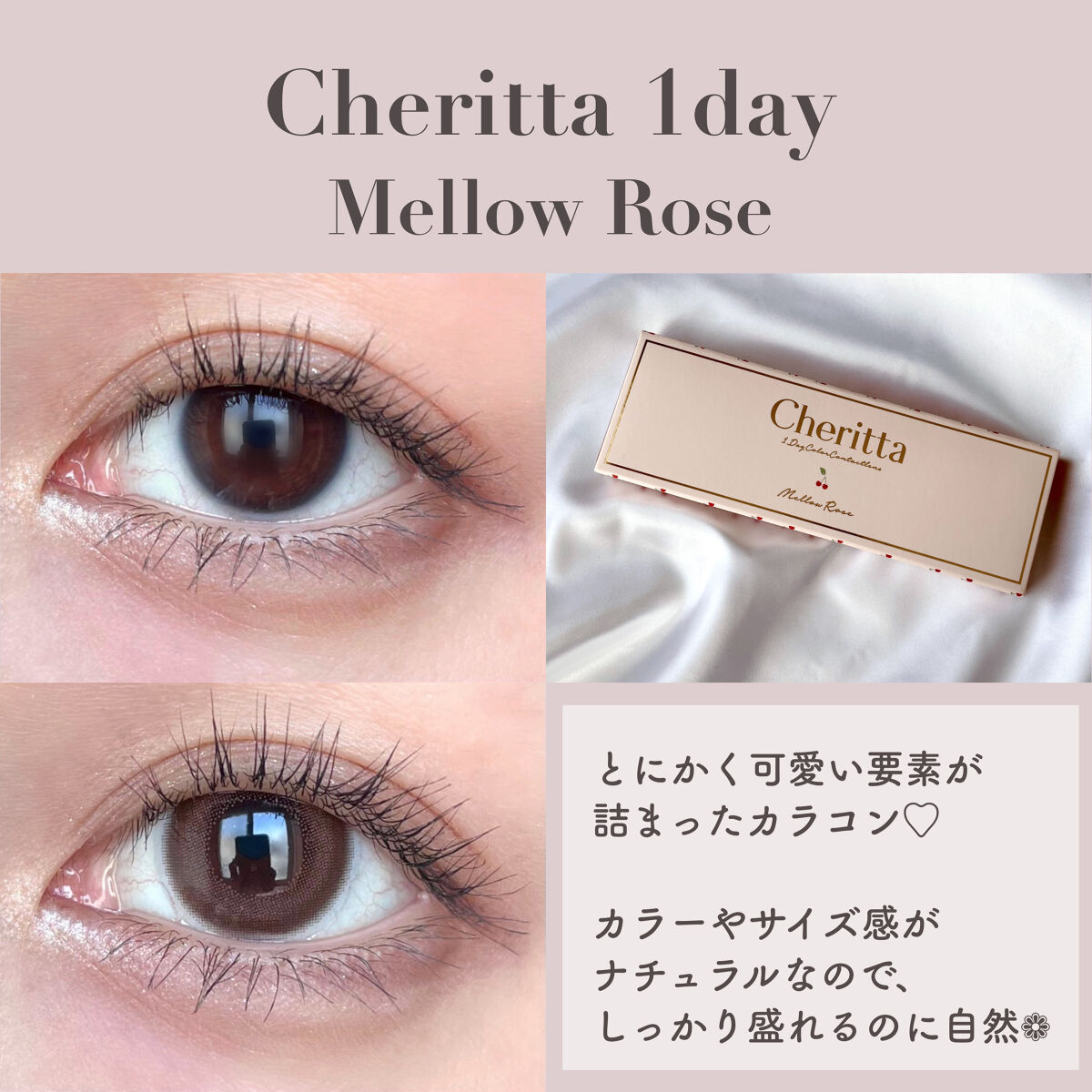 Cheritta 1day メロウロゼ(Mellow Rose)/Cheritta/ワンデー（１DAY）カラコンを使ったクチコミ（3枚目）