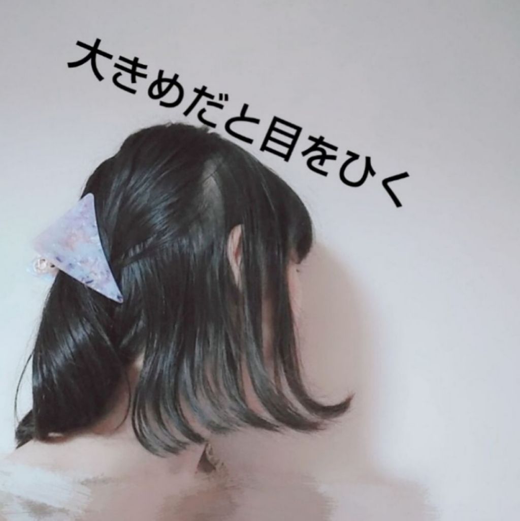 ストレートヘアアイロン/SALONIA/ストレートアイロンを使ったクチコミ(1枚目)