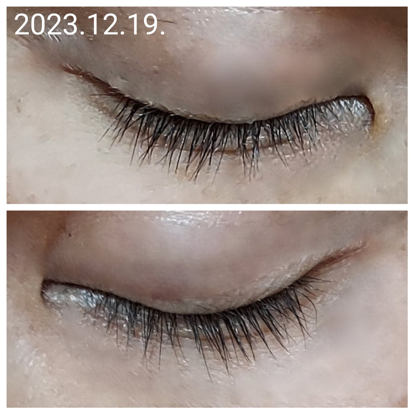 ロングアクティブアイラッシュセラム/COSNORI/まつげ美容液を使ったクチコミ(2枚目)