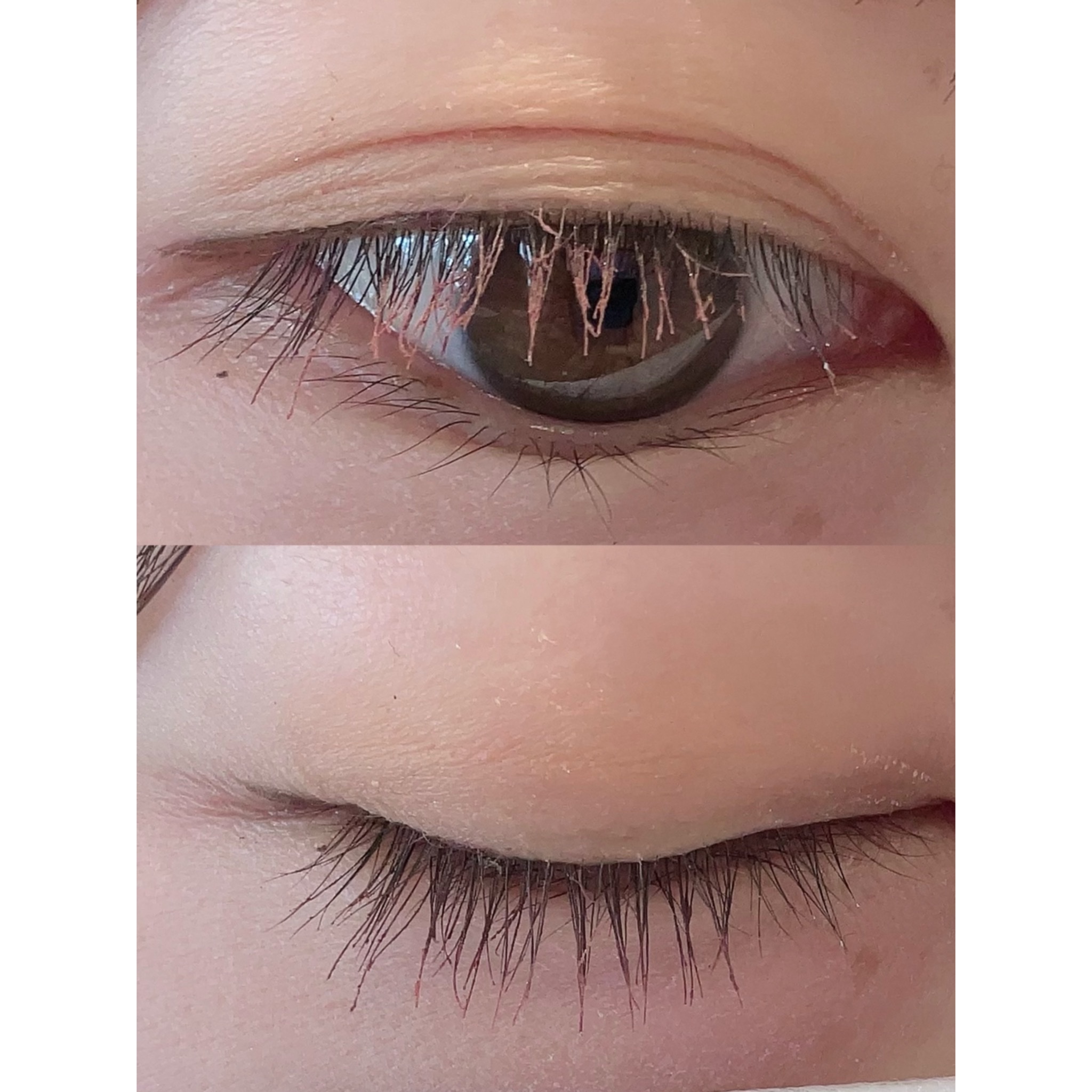 UR GLAM　BLOOMING EYE COLOR PALETTE/U R GLAM/アイシャドウパレットを使ったクチコミ（2枚目）