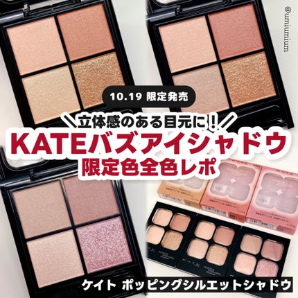 ケイト ポッピングシルエットシャドウ/KATE/アイシャドウパレットを使ったクチコミ(1枚目)