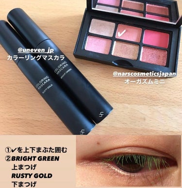 オーガズム ミニアイシャドーパレット/NARS/アイシャドウパレットを使ったクチコミ（1枚目）