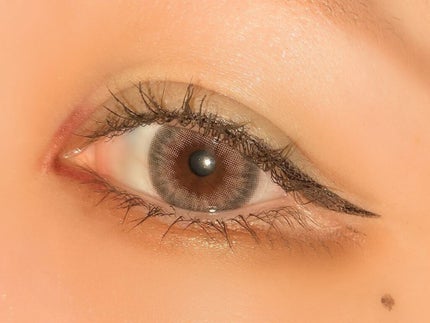 ケイト ザ アイカラー/KATE/単色アイシャドウを使ったクチコミ(3枚目)