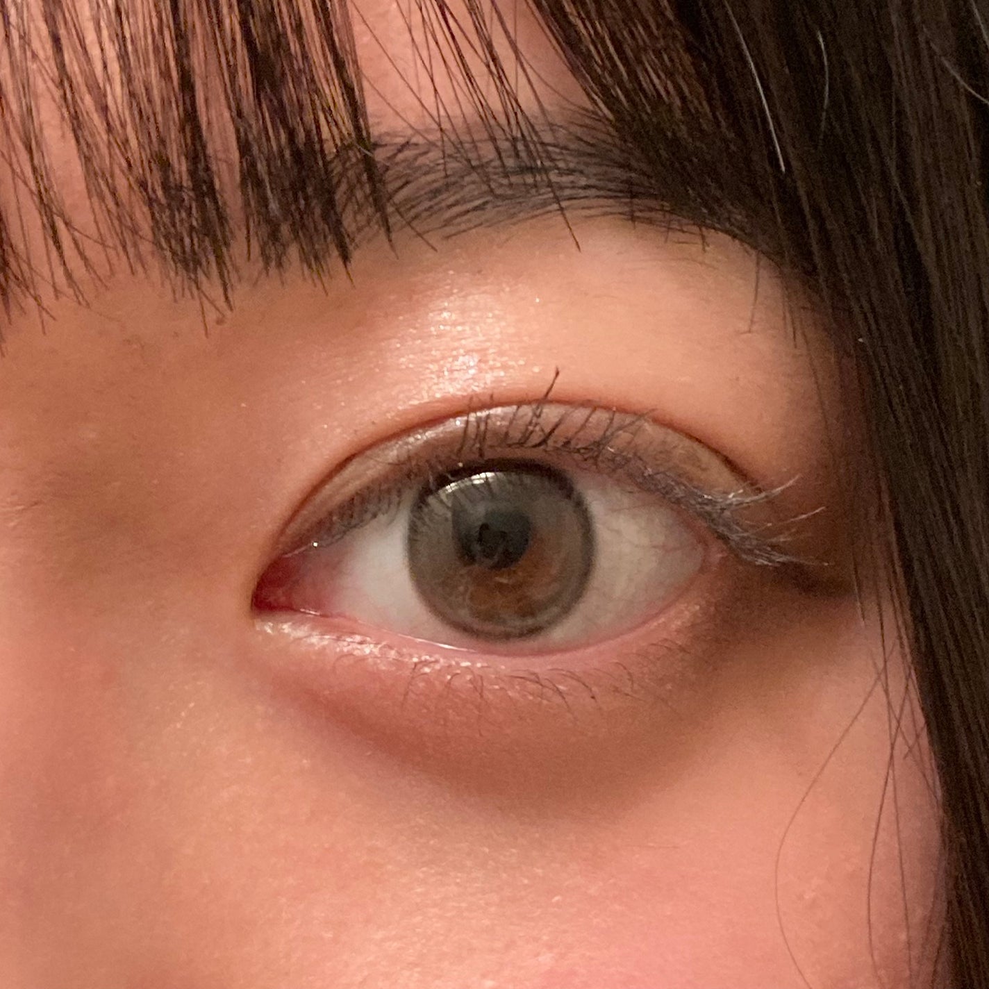 Real Ring 1day/OLENS/ワンデー(1DAY)カラコンを使ったクチコミ(1枚目)