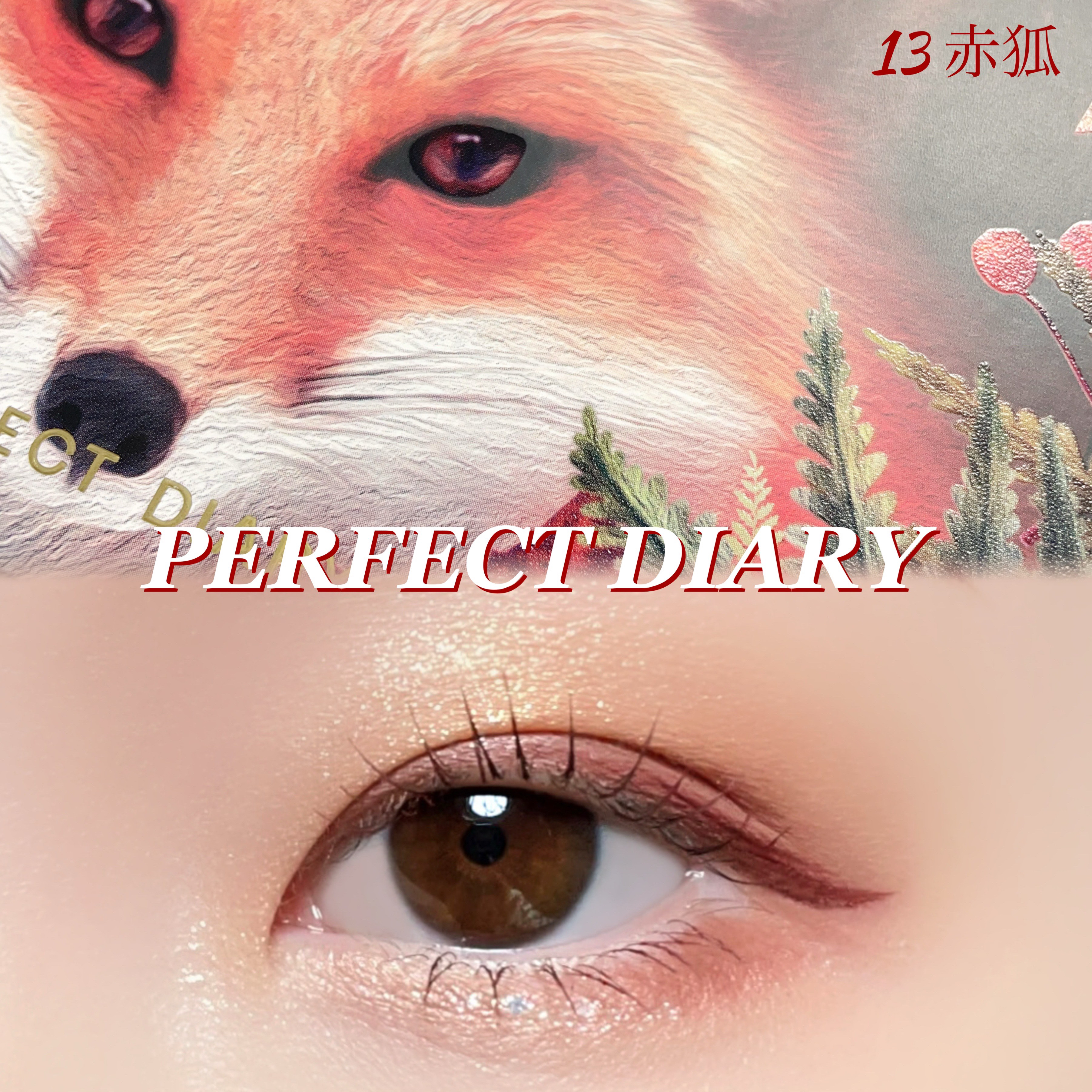 エクスプローラ12色 動物アイシャドウパレット/PERFECT DIARY/アイシャドウパレットを使ったクチコミ（1枚目）