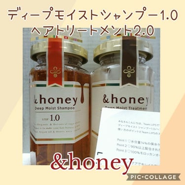 ディープモイスト シャンプー1.0／ヘアトリートメント2.0/&honey/シャンプー・コンディショナーを使ったクチコミ（1枚目）