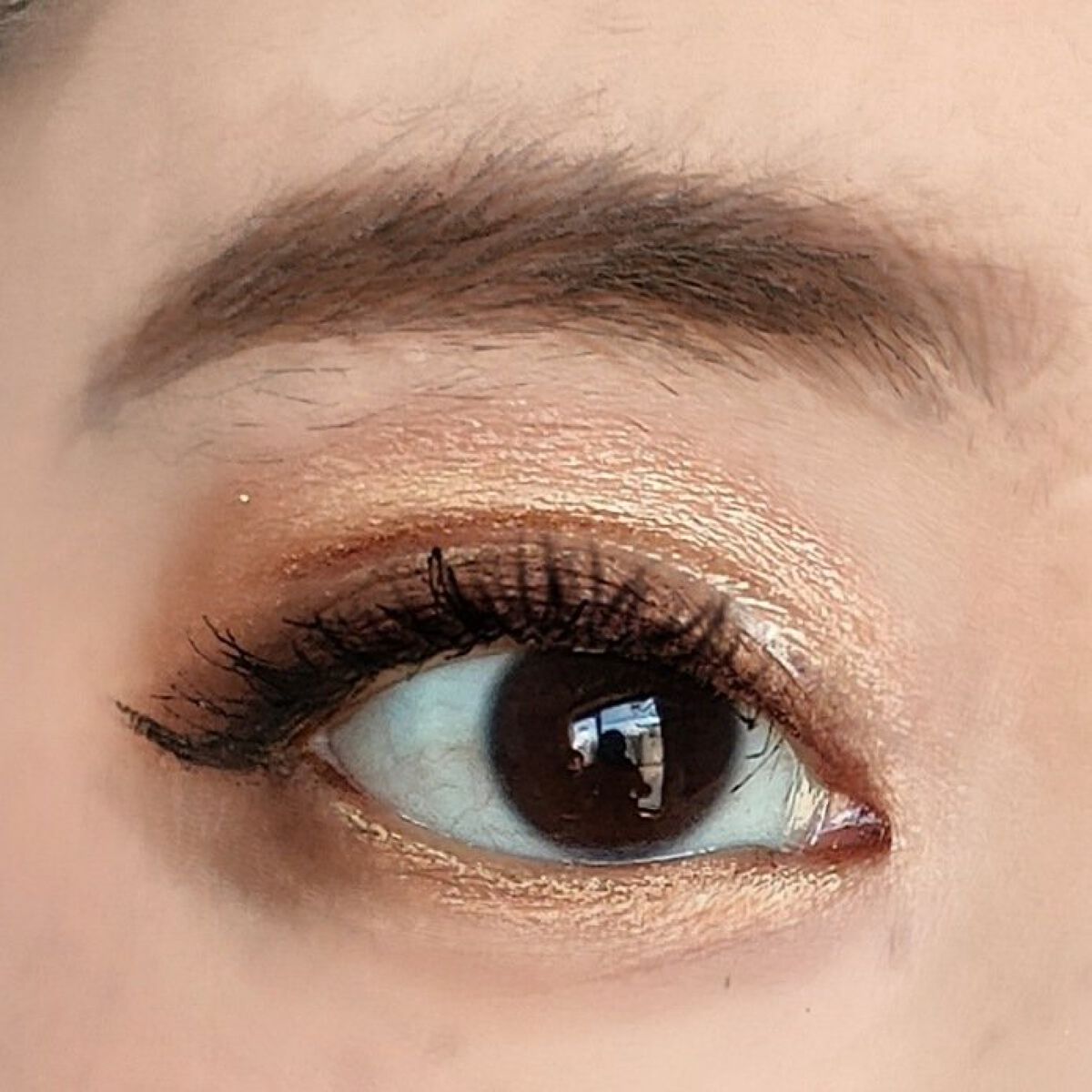 チョコレート ギャラクシー グラム コレクション/Too Faced/単色アイシャドウを使ったクチコミ（3枚目）