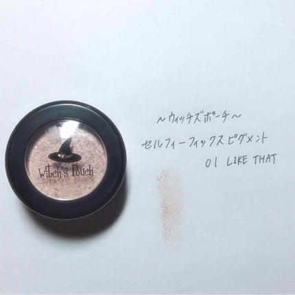 セルフィーフィックスピグメント/Witch's Pouch/単色アイシャドウを使ったクチコミ(2枚目)