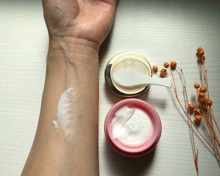 ホワイトスキンヴェール/四季/化粧下地を使ったクチコミ(1枚目)