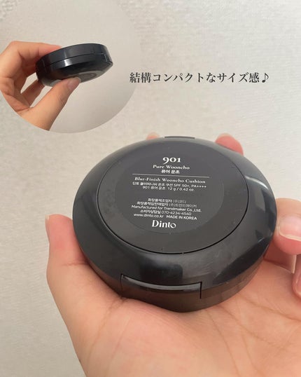 ブラーフィニッシュ雲楚クッション/Dinto/クッションファンデーションを使ったクチコミ(3枚目)