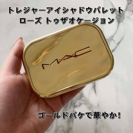 トレジャー アイシャドウ パレット ×6/M・A・C/アイシャドウパレットを使ったクチコミ(2枚目)