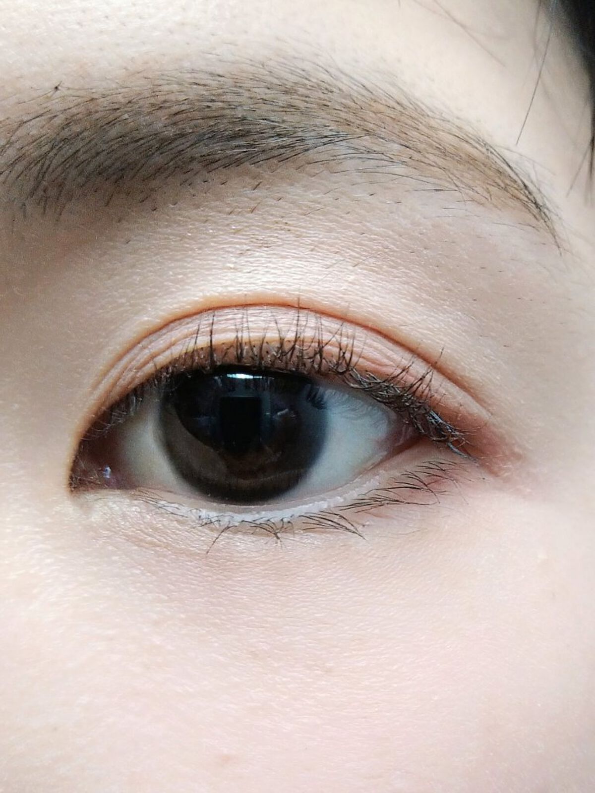 【旧】サンク クルール クチュール/Dior/アイシャドウパレットを使ったクチコミ（2枚目）