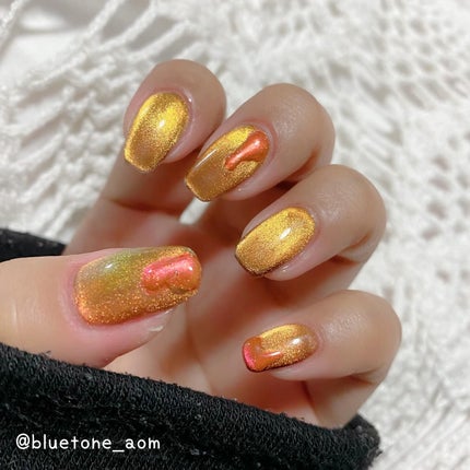 アニマルマグネットジェル/ネイル工房/ジェルネイルを使ったクチコミ(8枚目)