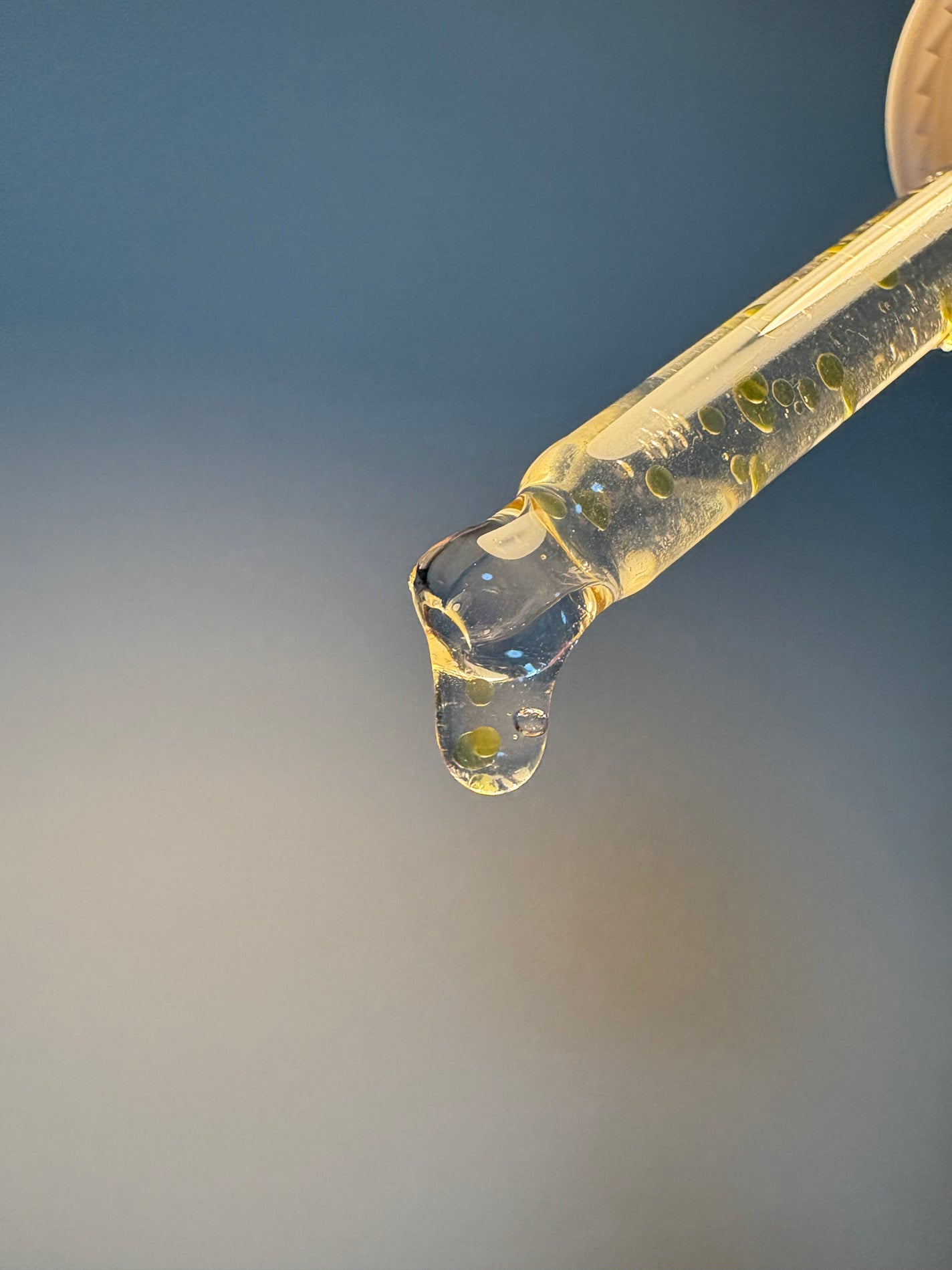 ベベバイオームアンチエイジングセラム/NATURAL DERMA PROJECT/美容液を使ったクチコミ(3枚目)