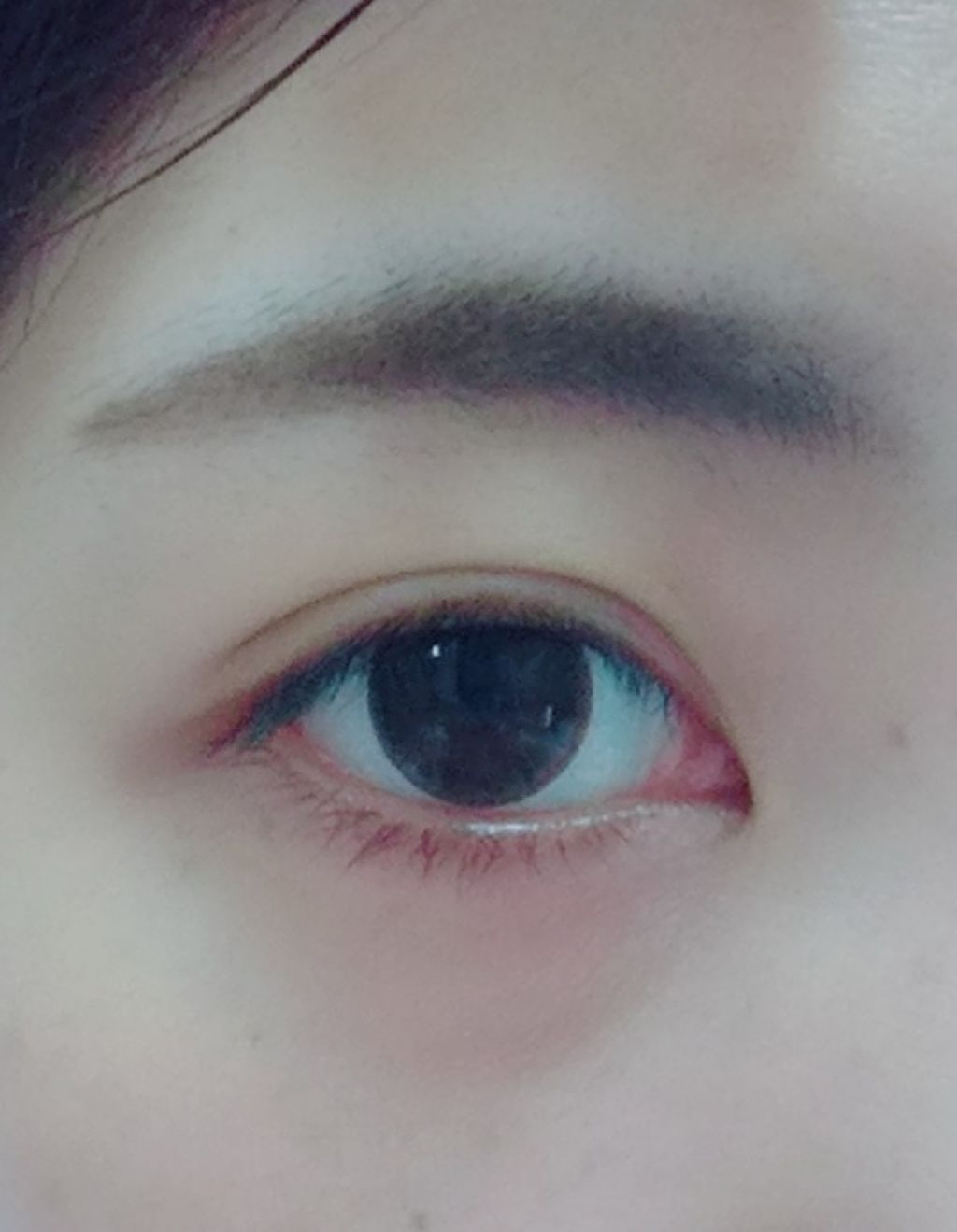 ドラマティックスタイリングアイズD/マキアージュ/アイシャドウパレットを使ったクチコミ（3枚目）