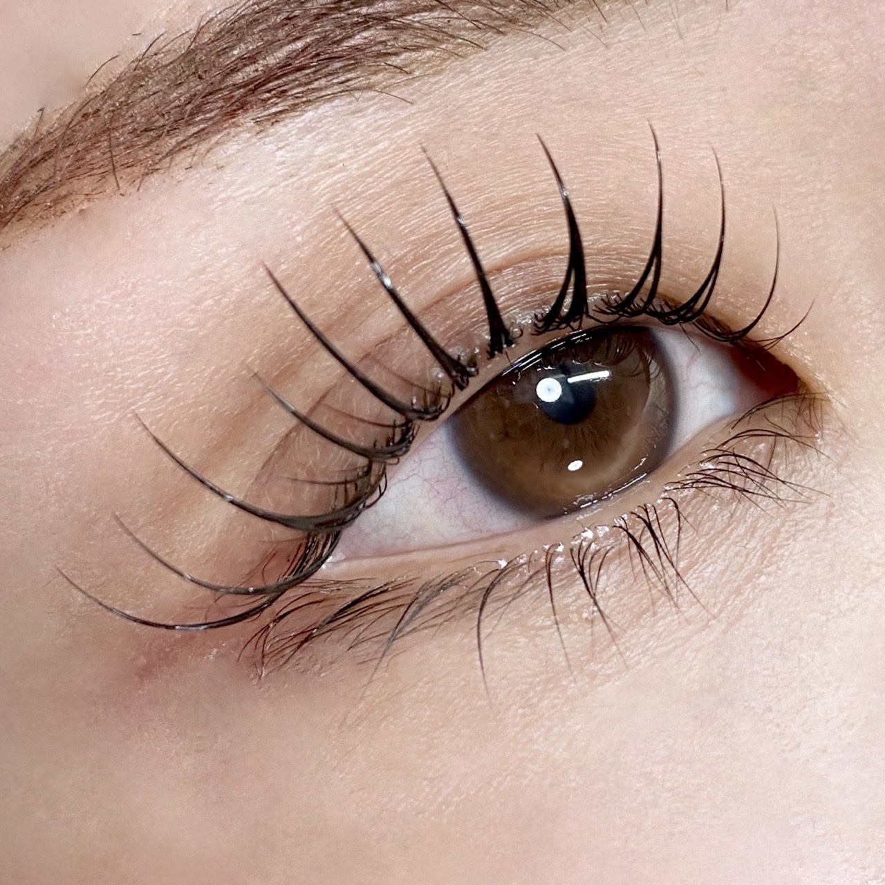 ラッシュアディクト アイラッシュコンディショニングセラム/soaddicted/まつげ美容液を使ったクチコミ（1枚目）